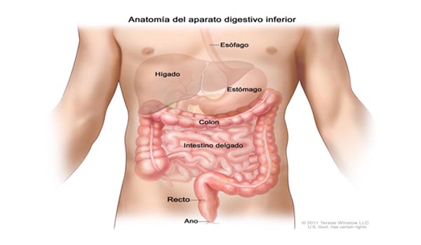 Coloproctología Digescol Colombia